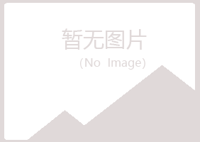 安阳殷都山柳冶炼有限公司